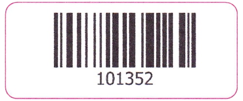 Tamper Evident Destructible Tag